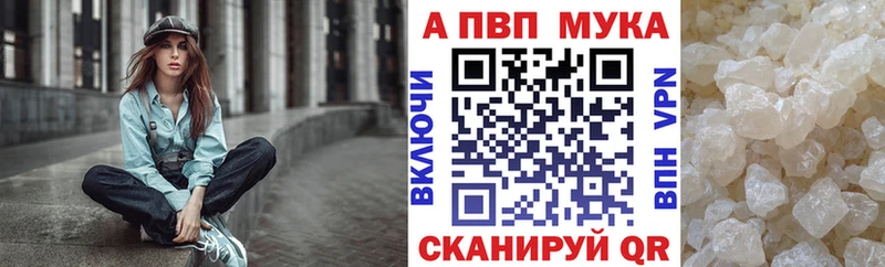дарк нет официальный сайт  Строитель  A PVP крисы CK 