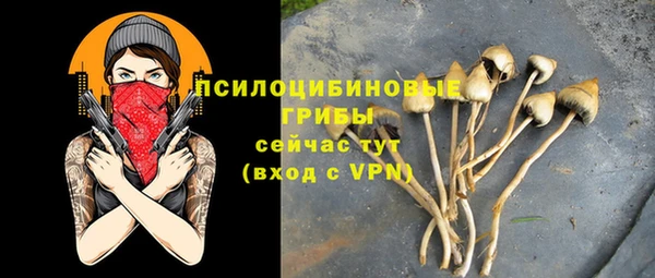 Альфа ПВП Алексин
