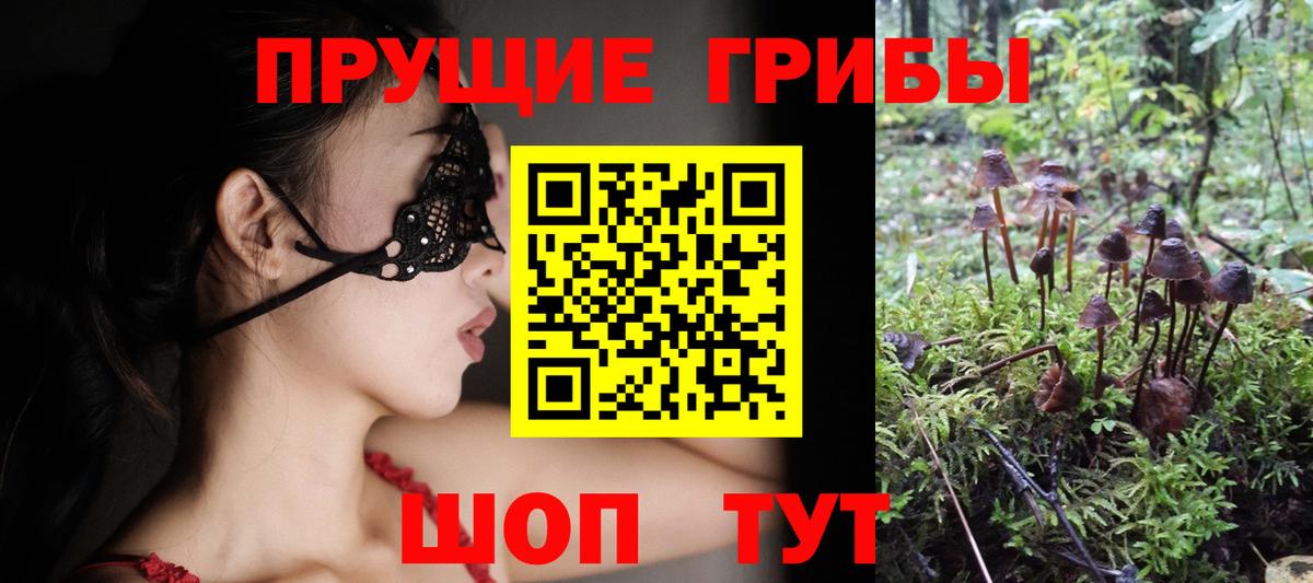Строитель  магазин продажи   Вход с VPN  Галлюциногенные грибы GOLDEN TEACHER 