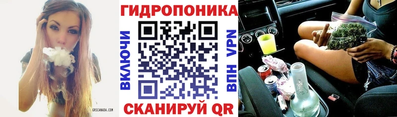 Каннабис семена  Строитель 